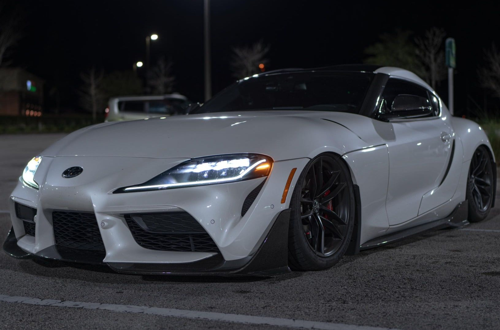 Supra Front Shot 2