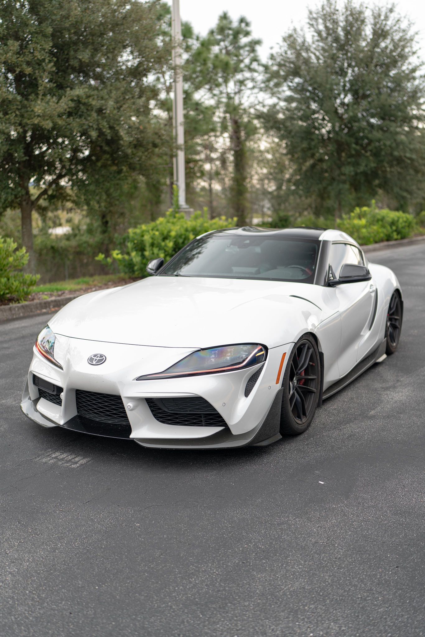 Supra Front Shot 3