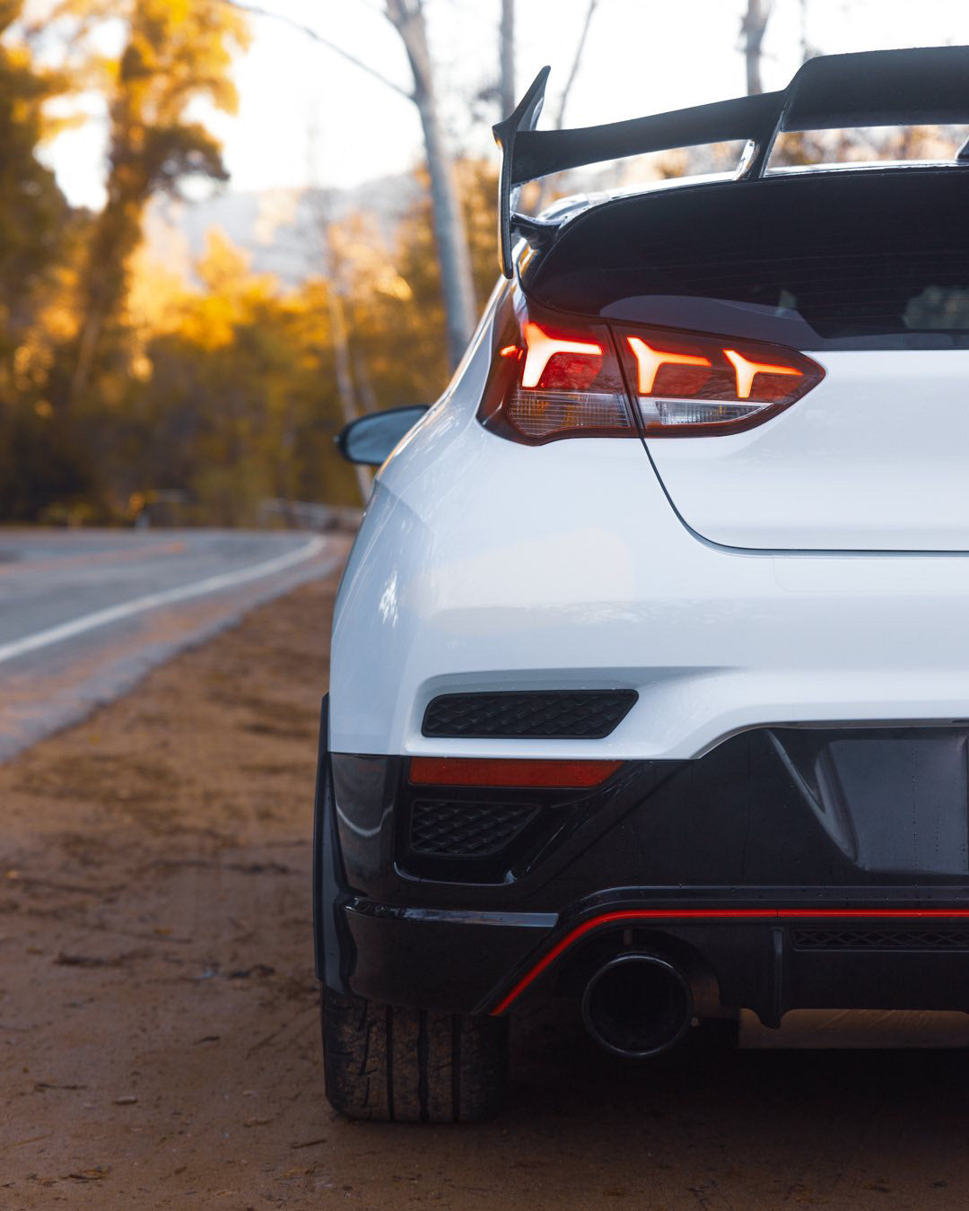 Veloster N rear guard shot
