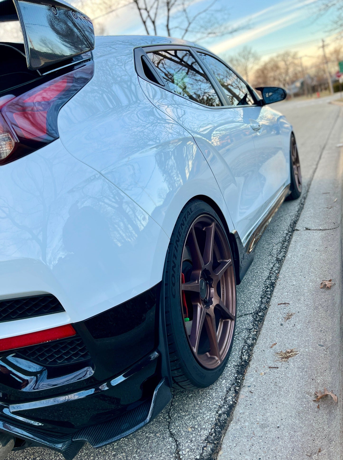 Veloster N rear guard