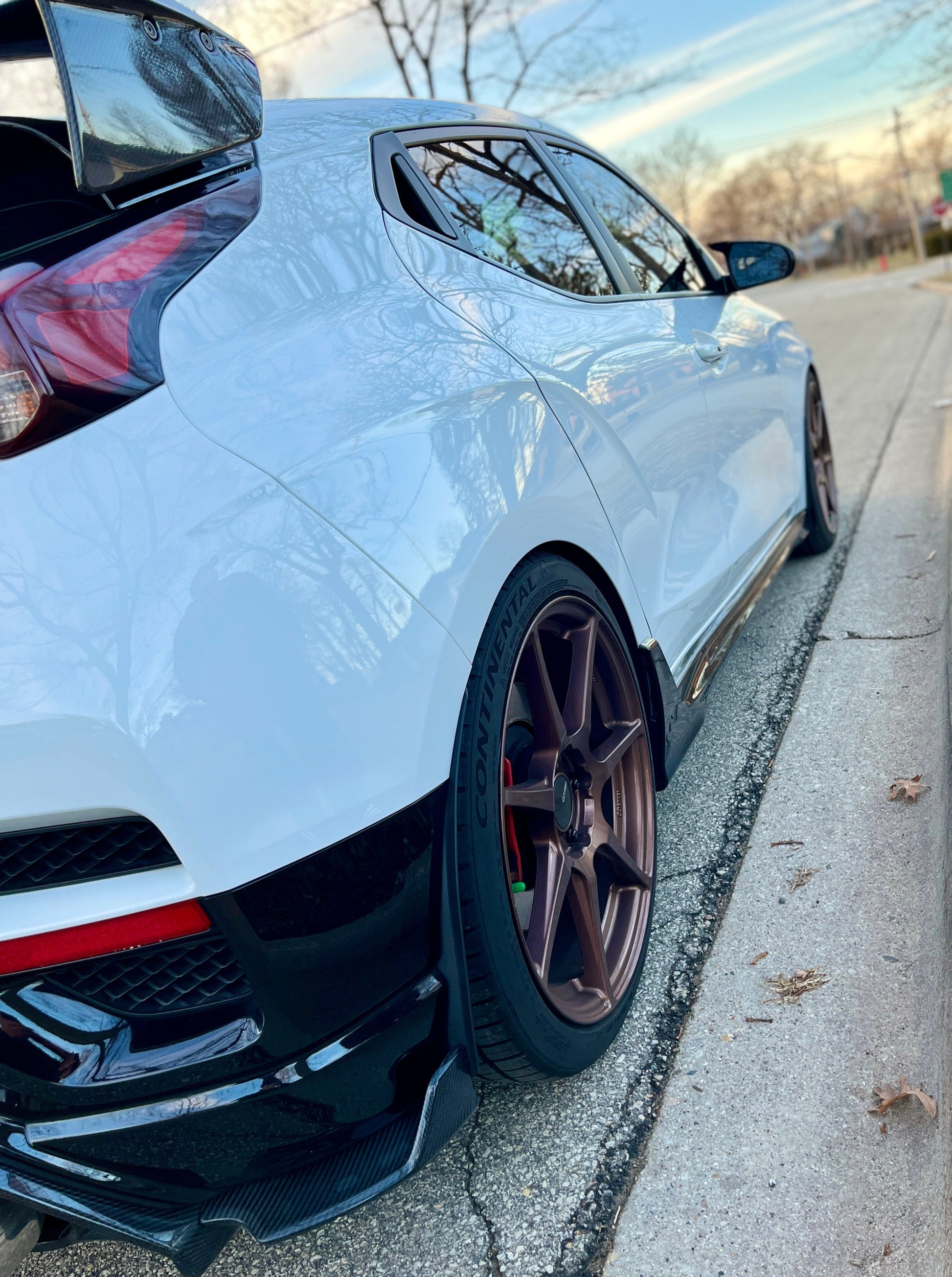 Veloster N rear guard