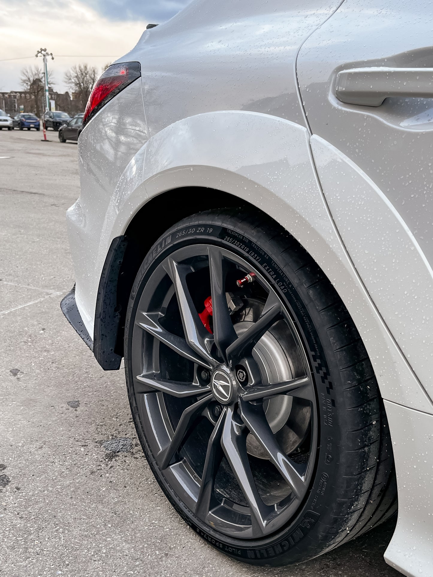 Acura DE5 Integra Type S splash guards