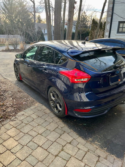 Ford Focus ST Guards