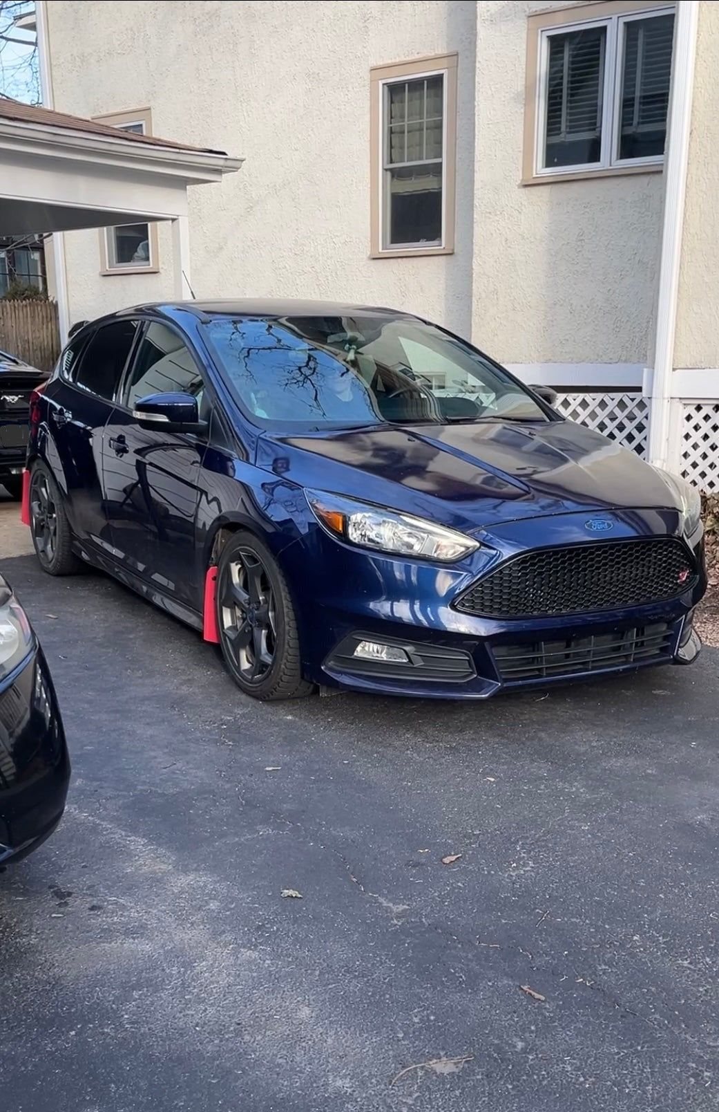 Ford Focus ST Guards